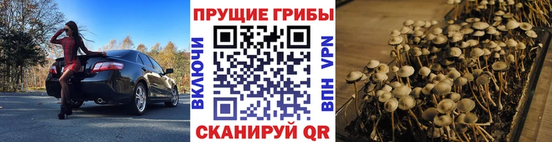 Галлюциногенные грибы мухоморы Богородск
